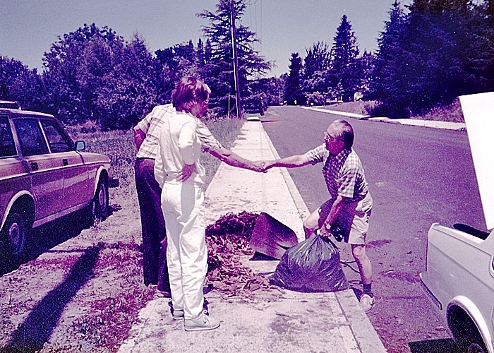 bark, bark dust, barkdust, mulch, bark mulch