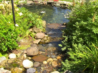 pond portland, ponds portland