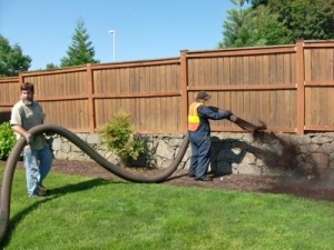 bark mulch pick up