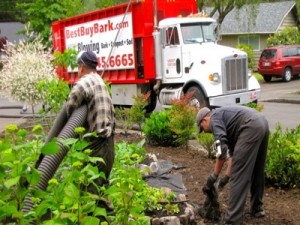 bark blow Portland, bark blower Portland, bark blowers Portland, bark blowing Portland, bark install Portland, bark installation Portland, mulch installation Portland, mulch install Portland, mulch blow Portland, bark mulch installation Portland, bark mulch install Portland, bark mulch blow Portland