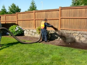 Bark Blowing 2 - Best Buy In Town Landscape Supply