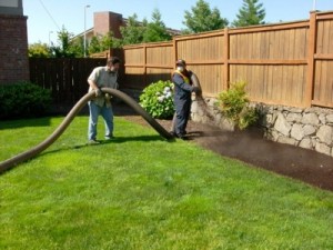 bark, bark dust, barkdust, mulch