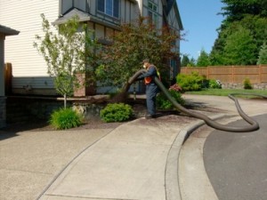 bark blow hillsboro, bark blower hillsboro, bark blowers hillsboro, bark blowing hillsboro, bark install hillsboro, bark installation hillsboro, mulch installation hillsboro, mulch install hillsboro, mulch blow hillsboro, bark mulch installation hillsboro, bark mulch install hillsboro, bark mulch blow hillsboro