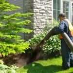 bark blow aloha, bark blower aloha, bark blowers aloha, bark blowing aloha, bark install aloha, bark installation aloha, mulch installation aloha, mulch install aloha, mulch blow aloha, bark mulch installation aloha, bark mulch install aloha, bark mulch blow aloha