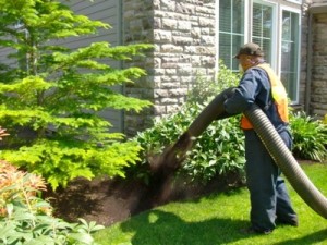 bark blow aloha, bark blower aloha, bark blowers aloha, bark blowing aloha, bark install aloha, bark installation aloha, mulch installation aloha, mulch install aloha, mulch blow aloha, bark mulch installation aloha, bark mulch install aloha, bark mulch blow aloha