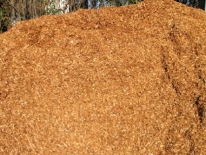 cedar wood chips Portland, cedar chips Portland, cedar bark chips Portland, cedar playground chips Portland, cedar playground wood chips Portland, playground wood chips Portland, playground chips Portland